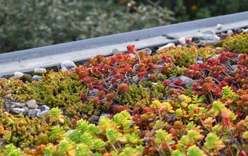 the cost of Ulcombe green roof installation